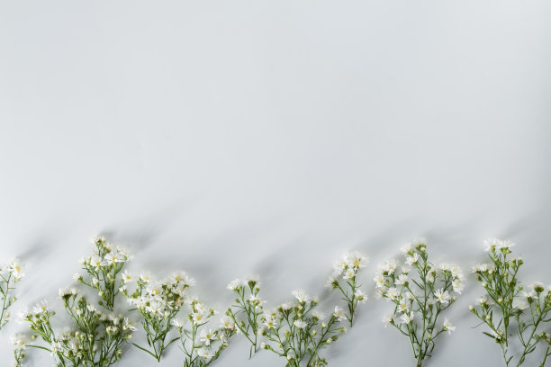 菊花和切花组成。由各种黄色或橙色的花朵和绿叶在白色的背景制成的图案和框架。平面布局，俯视图，复制空间，春天，夏天的概念。图片下载