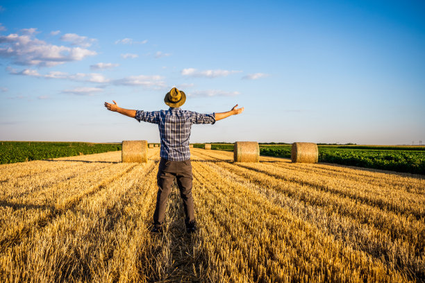 农夫伸开双臂站在一捆捆干草旁图片下载