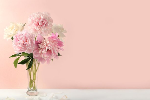 家居室内以装饰元素为主，春天美丽的牡丹花枝插在花瓶上，以轻盈的背景，抽象的花卉构图，静物用所作的文字图片下载