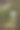 热带雨林中的一条自然小径。有森林入口的标志。图片下载