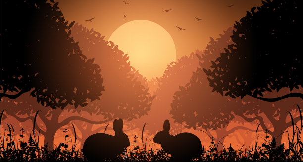 日落时母鸡在大自然中的剪影图片下载