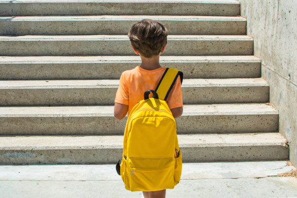 一个小学男孩的后视图走在学校大楼外。图片下载