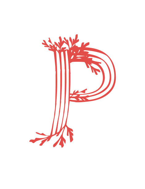 字母p在海底粉红色的海藻图片下载