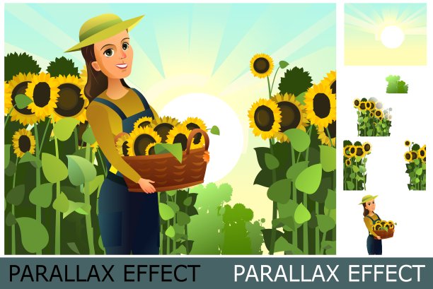 女孩带着向日葵花篮。农民妇女地位。农业植物收割。葵花籽油食品。图片来自图层，用于叠加视差效果。农村景观。向量。图片下载