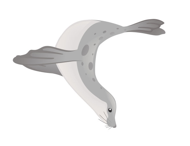 可爱的海豹卡通动物设计平孤立上图片下载