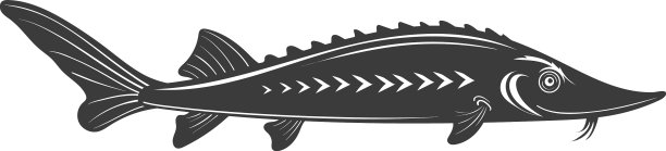 小Sterlet黑色轮廓鲟鱼图标新鲜图片下载