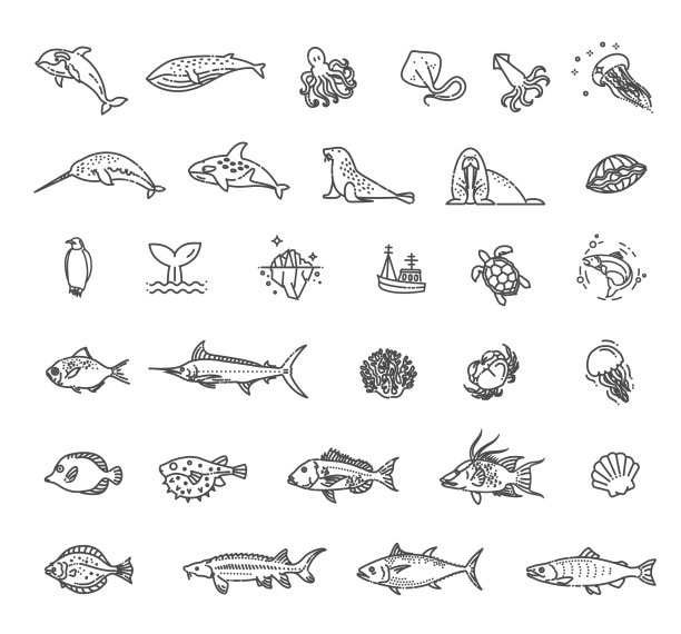 海洋生命。水下动物平线收集图片下载