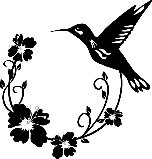 蜂鸟花图片下载