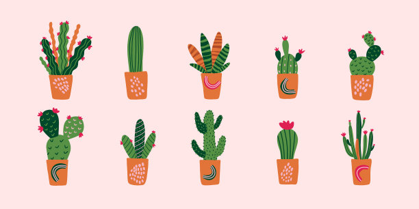 把可爱的仙人掌和多肉植物放在陶土棕色的罐子里图片下载