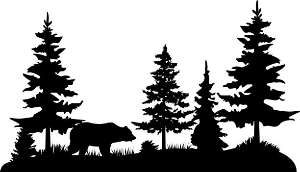 松林里的熊图片下载