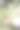 一个年轻美丽、苗条的金发女孩夏天在公园池塘边的自然中做瑜伽。图片下载