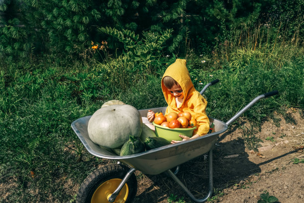 可爱的男孩坐在手推车里收割庄稼。图片下载