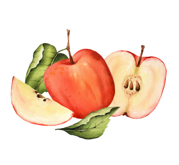 带叶子的红苹果图片下载