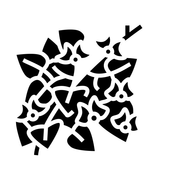 风信子豆字形图标矢量插图图片下载