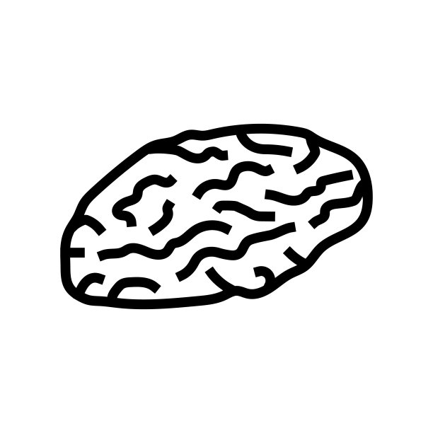 梅子新鲜可口线条图标矢量插图图片下载