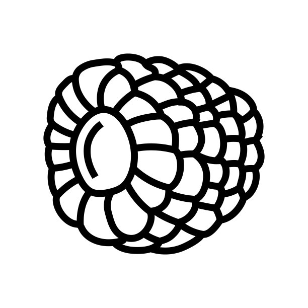 成熟多汁的覆盆子水果线图标矢量插图图片下载