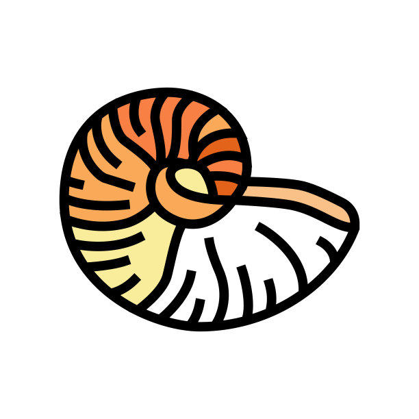 鹦鹉螺海贝壳海滩颜色图标矢量插图图片下载