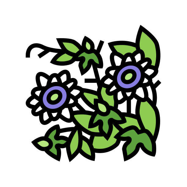 西番莲花藤本彩色图标矢量插图图片下载