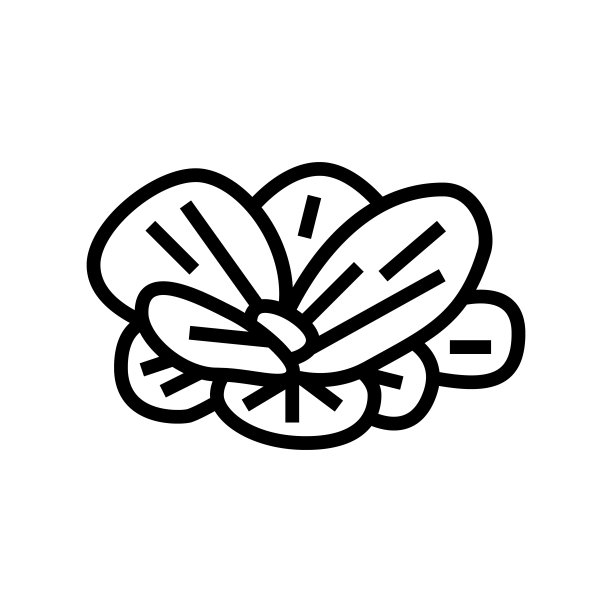 水生菜线图标矢量插图图片下载