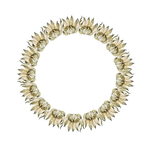 水彩波西米亚花环孤立在白色背景。圆框边模板设计。干花绿色米色植物标本室婚礼。手绘夏秋植物。带有复制空间的剪贴画图片下载