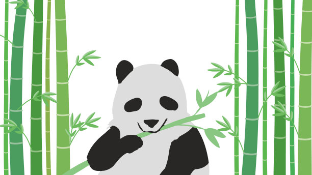 莎莎熊猫面前图片下载