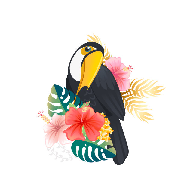 热带鸟巨嘴鸟卡通动物设计平图片下载