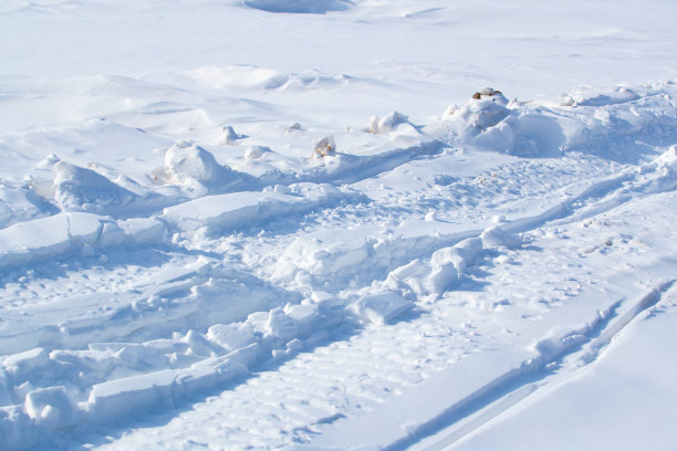 雪地上的汽车痕迹图片下载