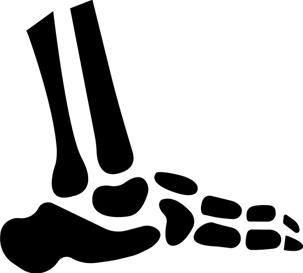 腿骷髅图标图片下载