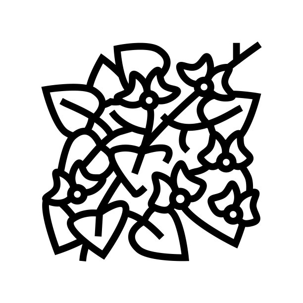 风信子豆线图标矢量插图图片下载