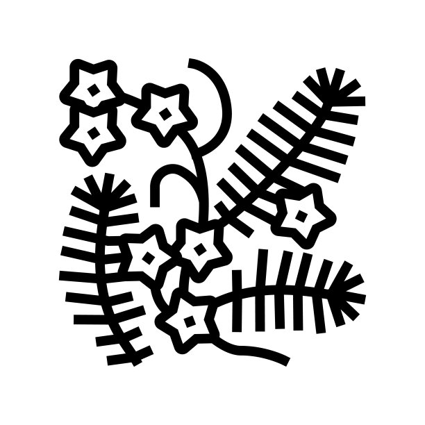 柏树藤本线图标矢量插图图片下载