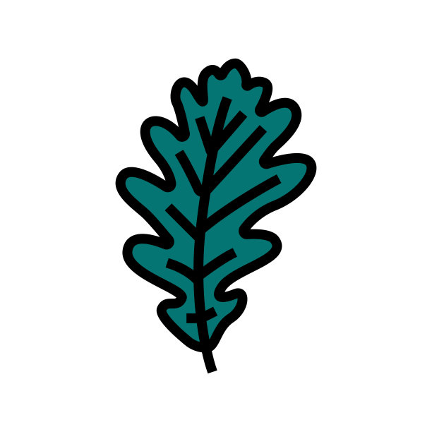 橡树叶子颜色图标矢量插图图片下载
