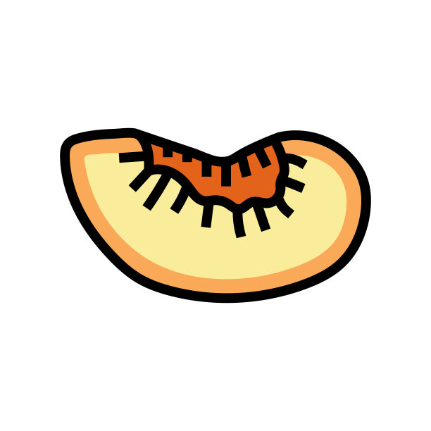 李子片水果颜色图标矢量插图图片下载