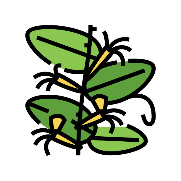 日本金银花彩色图标矢量插图图片下载