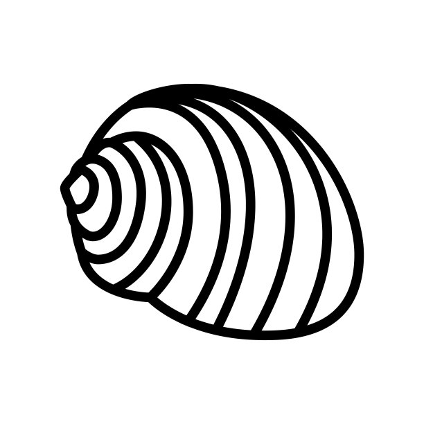Tonna海贝壳海滩线图标矢量插图图片下载