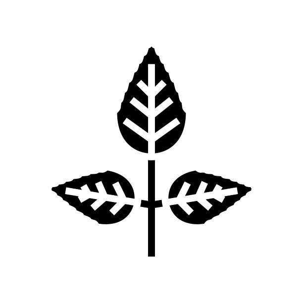 玫瑰花叶字形图标矢量插图图片下载