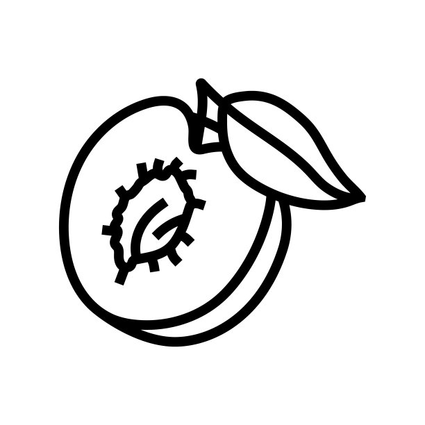 李子种子切叶线图标矢量插图图片下载