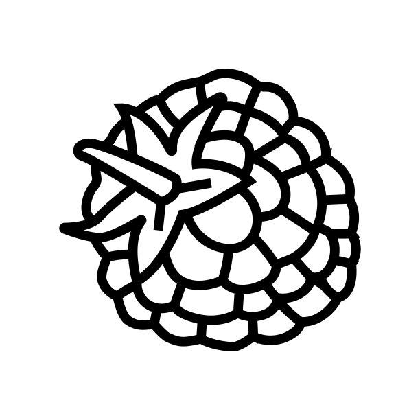 树莓叶莓线图标矢量插图图片下载