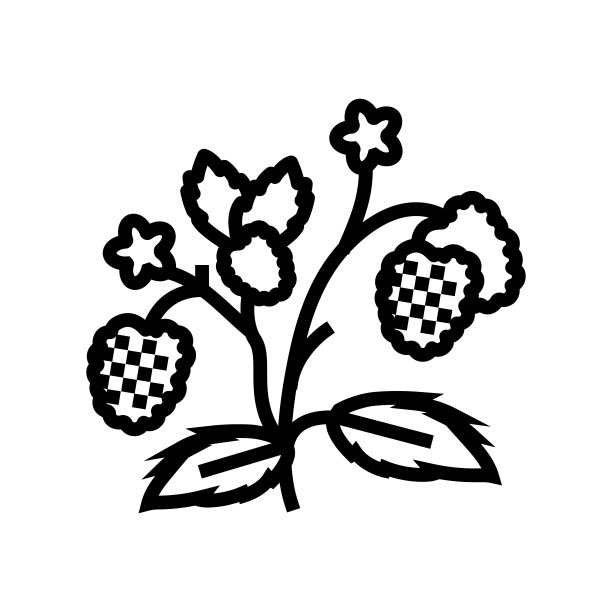 浆果植物树莓水果线图标矢量插图图片下载