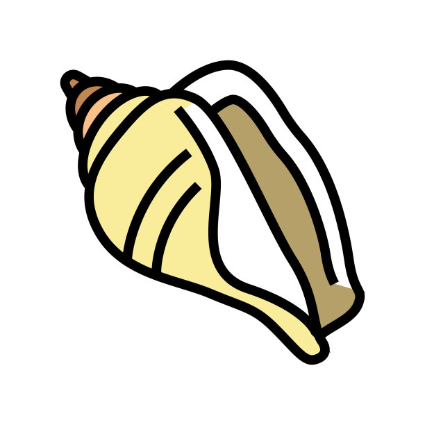 Strombus海贝壳海滩颜色图标矢量插图图片下载