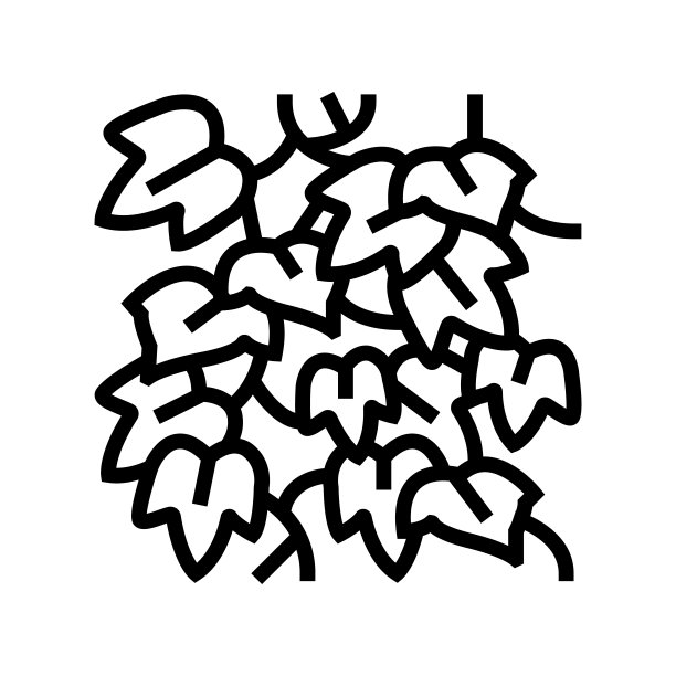 英国常春藤线图标矢量插图图片下载