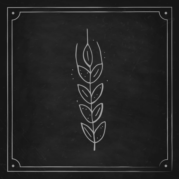 2022年慕尼黑啤酒节。手绘涂鸦小麦穗在一个黑色粉笔板。德国的传统节日。图片下载