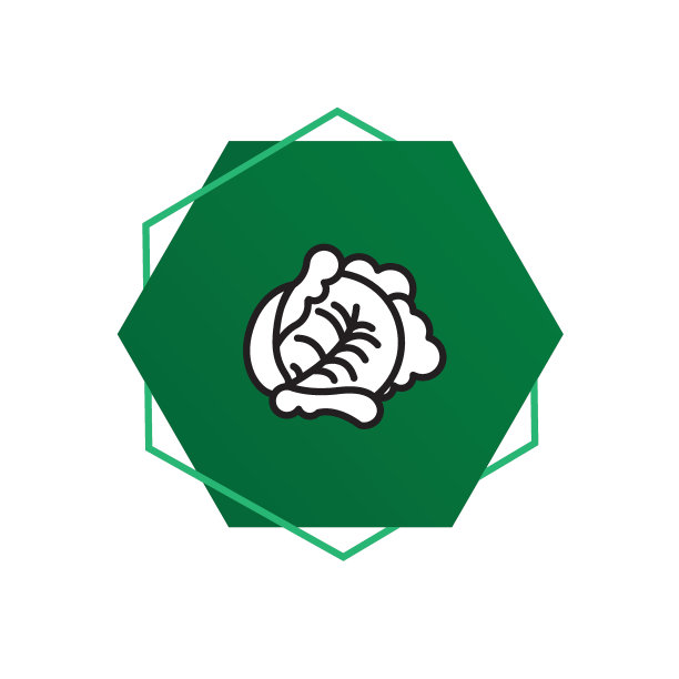 生菜平面设计蔬菜图标图片下载