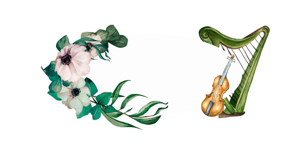 框架的小提琴，竖琴和花水彩插图在白色背景。图片下载