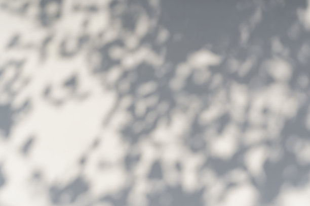 阴影叠加效果的照片。阳光下，白色墙壁上树叶和热带树枝的阴影。图片下载