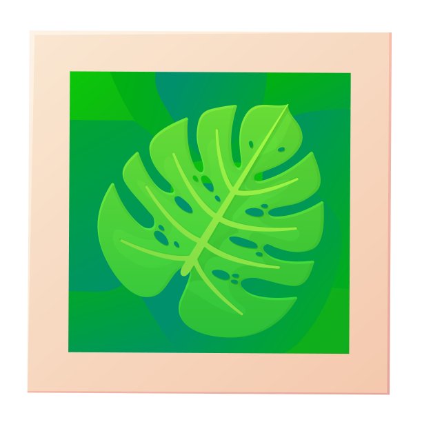 夏日魔芋叶的照片。奇异的棕榈叶，热带自然概念。图片下载