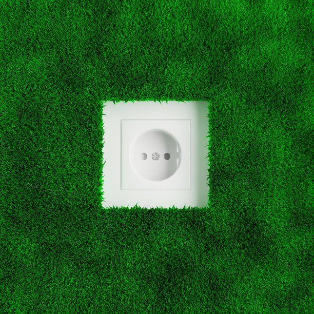绿色草坪墙上的欧式插座。可替代的环保能源概念。图片下载