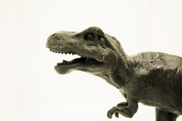 霸王龙玩具塑料特写头锋利的牙齿图片下载