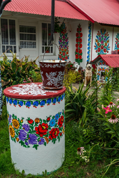 波兰乡村Zalipie的粉刷立面图片下载