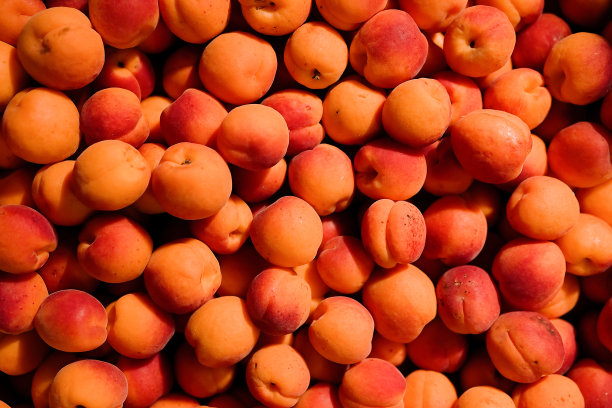 熟橙杏特写背景或质地图片下载