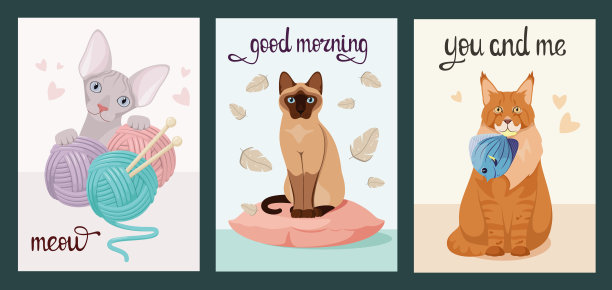 可爱的猫图片下载